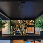 ホテル Ibis Styles Centre Rive Gauche ルーアン